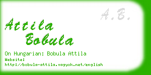 attila bobula business card